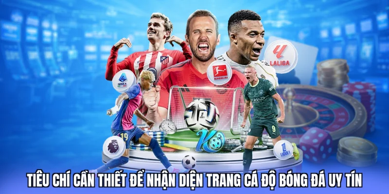 Tiêu chí cần thiết để nhận diện trang cá độ bóng đá uy tín